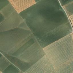 Satellite imagery of survey_point, DZ