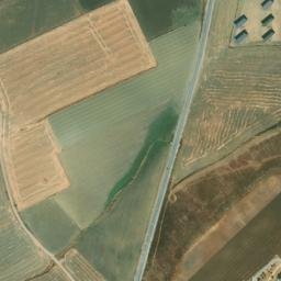 Satellite imagery of survey_point, DZ