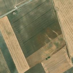 Satellite imagery of survey_point, DZ