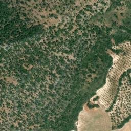 Satellite imagery of survey_point, DZ