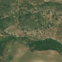 Satellite imagery of survey_point, DZ