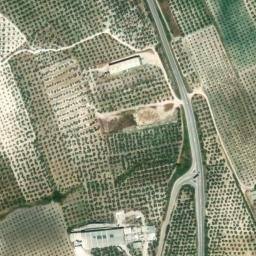 Satellite imagery of survey_point, DZ