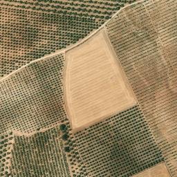 Satellite imagery of survey_point, DZ