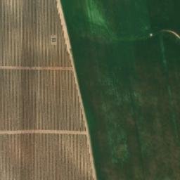 Satellite imagery of survey_point, DZ