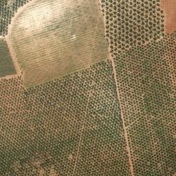 Satellite imagery of survey_point, DZ