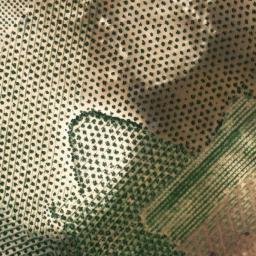 Satellite imagery of survey_point, DZ