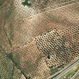 Satellite imagery of survey_point, DZ