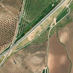 Satellite imagery of survey_point, DZ