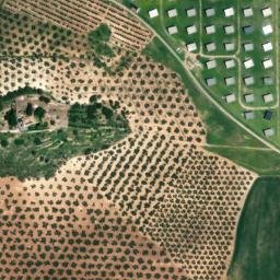 Satellite imagery of survey_point, DZ