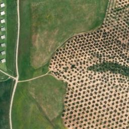Satellite imagery of survey_point, DZ