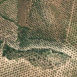 Satellite imagery of survey_point, DZ
