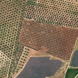 Satellite imagery of survey_point, DZ
