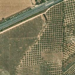 Satellite imagery of survey_point, DZ