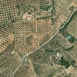 Satellite imagery of survey_point, DZ