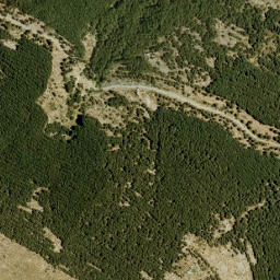 Satellite imagery of survey_point, DZ