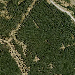 Satellite imagery of survey_point, DZ