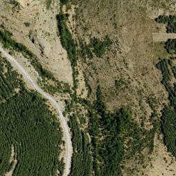 Satellite imagery of survey_point, DZ