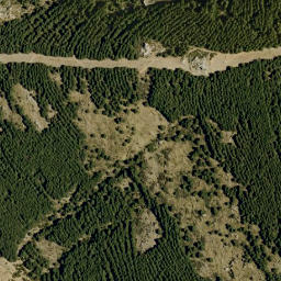 Satellite imagery of survey_point, DZ