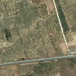 Satellite imagery of survey_point, DZ