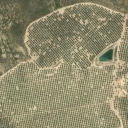 Satellite imagery of survey_point, DZ