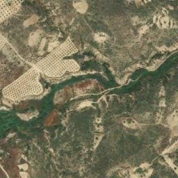 Satellite imagery of survey_point, DZ
