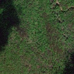 Satellite imagery of Long Spur, US
