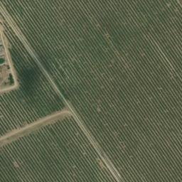 Satellite imagery of survey_point, DZ