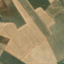 Satellite imagery of survey_point, DZ