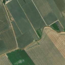 Satellite imagery of survey_point, DZ