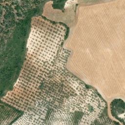 Satellite imagery of survey_point, DZ