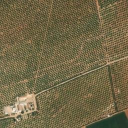 Satellite imagery of survey_point, DZ