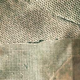 Satellite imagery of survey_point, DZ