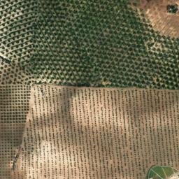 Satellite imagery of survey_point, DZ