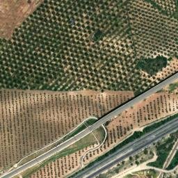 Satellite imagery of survey_point, DZ