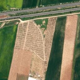 Satellite imagery of survey_point, DZ