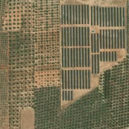 Satellite imagery of survey_point, DZ