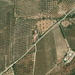 Satellite imagery of survey_point, DZ