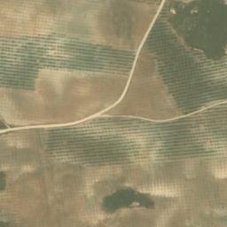 Satellite imagery of survey_point, DZ