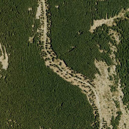 Satellite imagery of survey_point, DZ