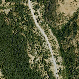Satellite imagery of survey_point, DZ