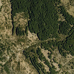 Satellite imagery of survey_point, DZ