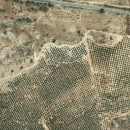Satellite imagery of survey_point, DZ