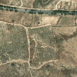 Satellite imagery of survey_point, DZ