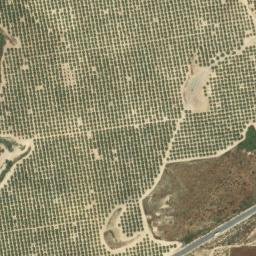 Satellite imagery of survey_point, DZ