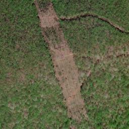 Satellite imagery of Long Spur, US