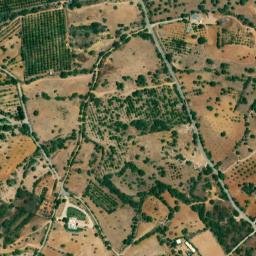 Satellite imagery of Lobo, DZ