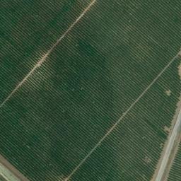 Satellite imagery of survey_point, DZ