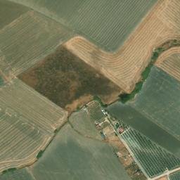 Satellite imagery of survey_point, DZ