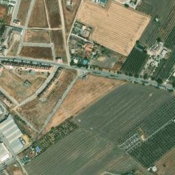 Satellite imagery of survey_point, DZ