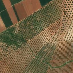 Satellite imagery of survey_point, DZ